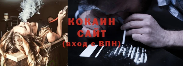 твердый Алексин