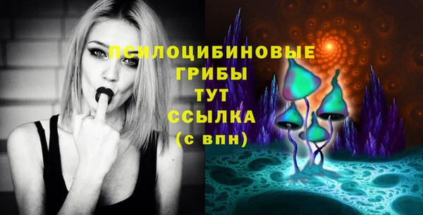твердый Алексин
