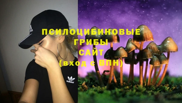 твердый Алексин