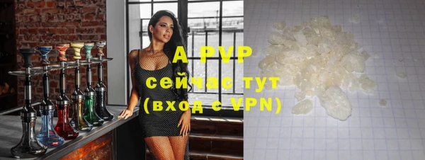 твердый Алексин